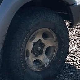 �������, ������, 67 ���