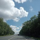 ���� �����, ���������, 50 ��� - ��������� 10 ������� 2024 � ������ ���� ����������