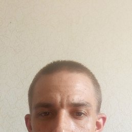 , 32, 