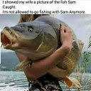 ���� �, ������ - ��������� 22 ������� 2026 � ������ ������ ��������