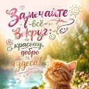���� ������, �������� - ��������� 1 ������� 2026 � ������ ������ ��������