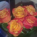 ���� �����, ���� - ��������� 28 ���� 2025 � ������ ���� ����������