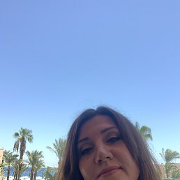 �����, ������, 50 ���