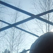 �����, 66 ���, ����