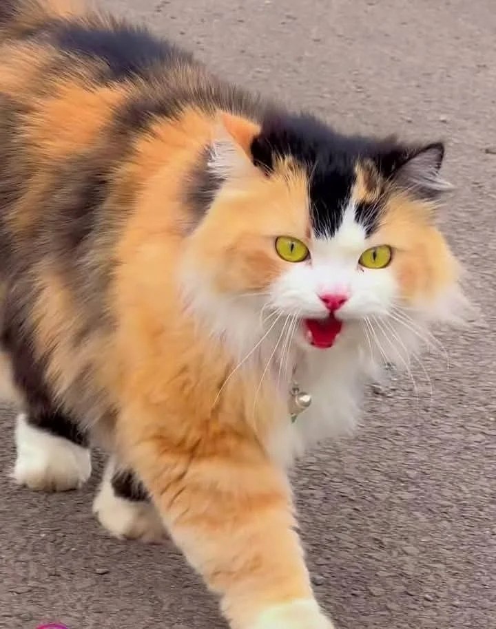 �������� ������� - 3