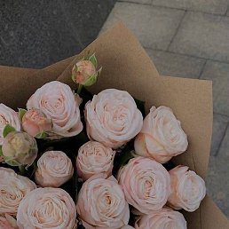 �����, �����, 21 ���