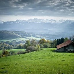 �����, ���, 52 ����