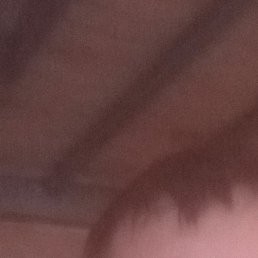 ����, �����������, 44 ����