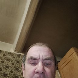 ����, 48 ���, �����������