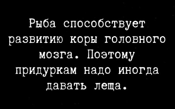 " ") - 10  2024  08:53