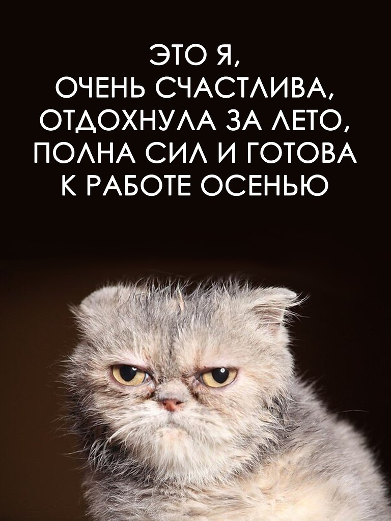  - 2  2025  17:34