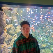 �������, 18 ���, ������