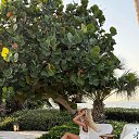 ���� �����, ������, 28 ��� - ��������� 26 ������ 2025