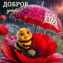 ���� �������, ���������� - ��������� 20 ���� 2026 � ������ ������ ��������