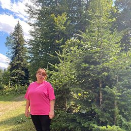 ��������, �������, 38 ���