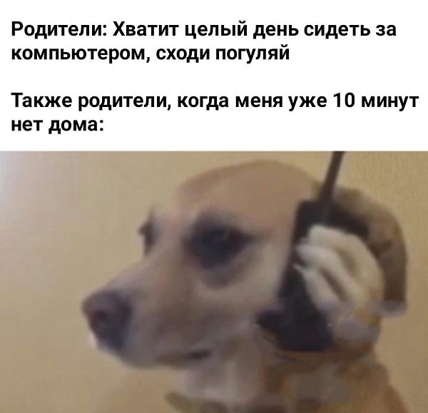    - 6  2024  16:23