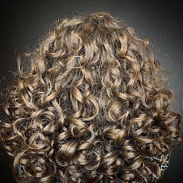 ������, �������������, 47 ���