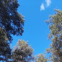 ���� ������, ����������, 44 ���� - ��������� 13 ������ 2025 � ������ ���� ����������