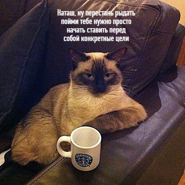 ��� �������