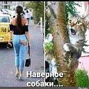 ���� ��������, ������������, 72 ���� - ��������� 21 ������� 2025 � ������ ������ ��������