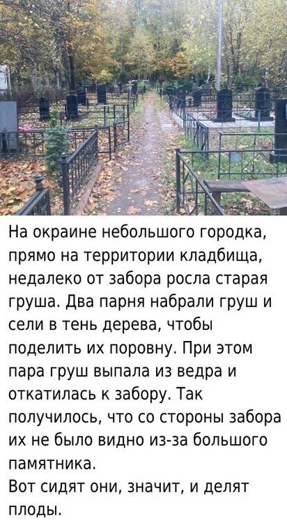 - Эту - мне, а эту - тебе... В это время мимо кладбища на велосипеде едет мальчик. И слышит диалог ...