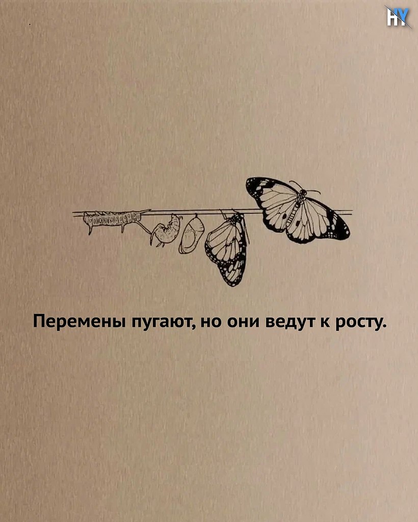 ,   ,   . ,   ,   . ... - 5