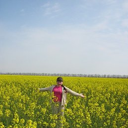 ��������, ��������, 39 ���