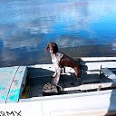 �� ������!