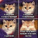  Valeri, , 61  -  20  2025    