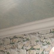 ���������, 41 ���, ����