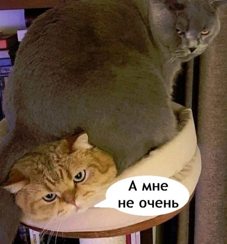    - 3