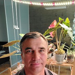 , 54, 