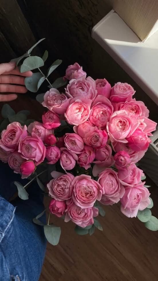 ���� �� ������ ����� - ������ ���� ��������. ����� �����