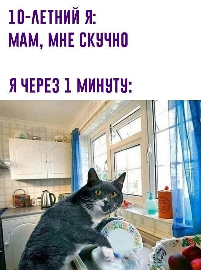    - 24  2023  22:19