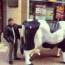 ���� �������, �����-���������, 31 ��� - ��������� 19 ������� 2023 � ������ ���� ����������