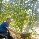 ���� ������, �������, 66 ��� - ��������� 16 ������ 2025 � ������ ���� ����������