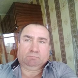 , 51 , -