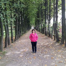 ���� �����, ������, 62 ���� - ��������� 7 ����� 2025