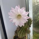 ���� �����, ������ - ��������� 15 ���� 2024 � ������ ���� ����������