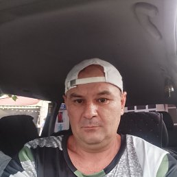 ���� ����, ����������, 40 ��� - ��������� 4 ������� 2026