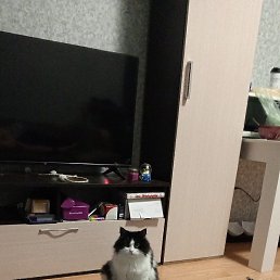 ����������, �����, 27 ���