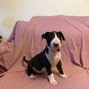 ���� �����, ������, 52 ���� - ��������� 7 ������� 2026 � ������ ������ ��������