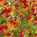 ���� �������, ������, 67 ��� - ��������� 21 ������� 2024 � ������ ������ ��������