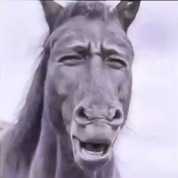 Issam, ����, 29 ���