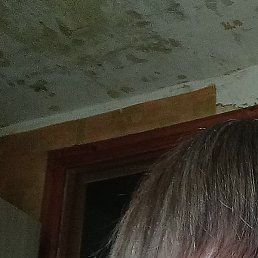 �������, �������, 37 ���