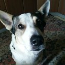 ���� ���, ��������, 24 ���� - ��������� 2 ������ 2025 � ������ ���� ����������