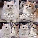 ���� ����, ��������� - ��������� 21 ������ 2026 � ������ ������ ��������