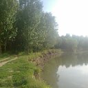 ���� ������, ������, 54 ���� - ��������� 11 ����� 2026 � ������ ���� ����������