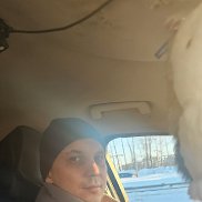 �������, 36 ���, ������