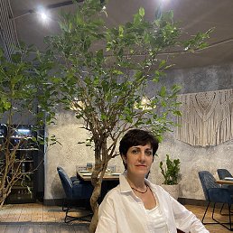 ���� �����, �������, 56 ��� - ��������� 26 ������ 2026